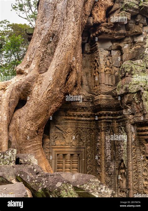 Image Of Ta Prohm Temple The Photogenic Temple At Angkor Wat