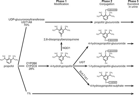 Frontiers Clinical Importance Of Potential Genetic Determinants