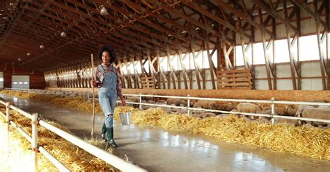 Aposentadoria Rural O Que Mudou A Reforma Da Previd Ncia