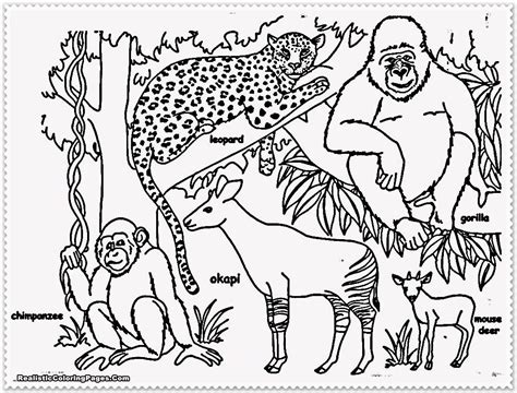 Wild Animals Realistic Jungle Animals Coloring Pages Kidsworksheetfun