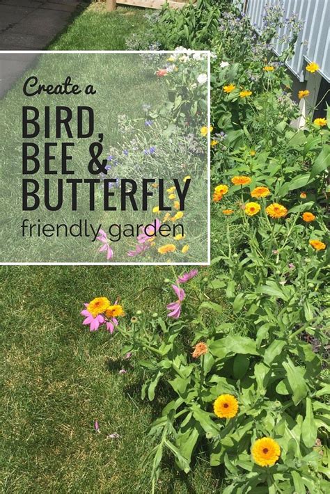 Bird Bee Butterfly Garden Modern Outdoor Spaces, Modern Backyard, Diy ...