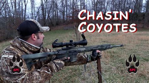 Chasin Coyotes Coyote Hunting East Tennessee Youtube