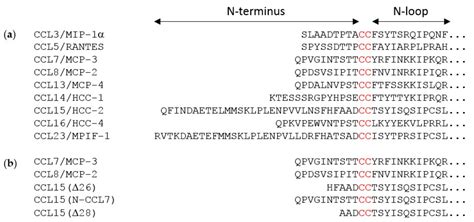 Ijms Free Full Text Influence Of Chemokine N Terminal Modification