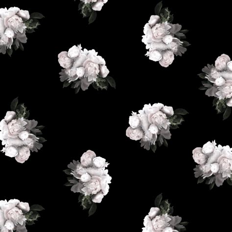 Black and White Peony Wallpapers - Top Free Black and White Peony Backgrounds - WallpaperAccess