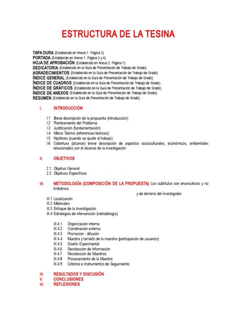 Formato Tesina Tes Pdf Science Cognición