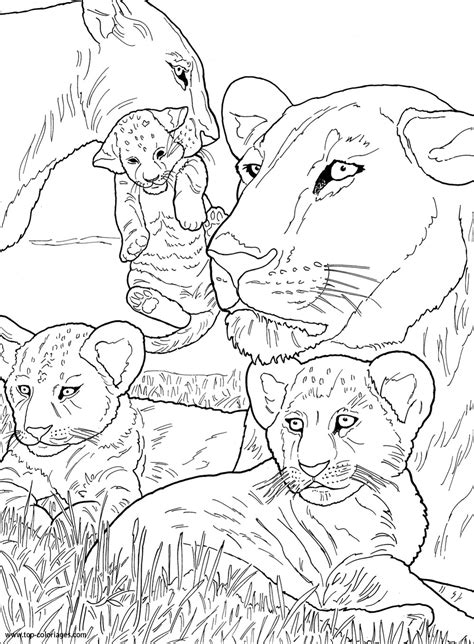 Coloriage Lionceaux