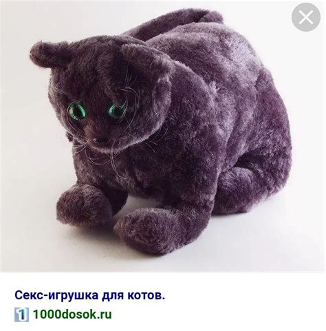 Резиновый кот для кошки - картинки и фото koshka.top