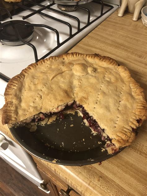 46 best u/tamias-striatus images on Pholder | Foraging, Bushcraft and