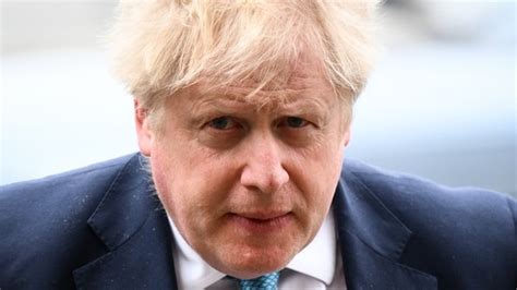 Boris Johnsons Ex Advisors Claim ‘former Uk Pm Gave Up Science So