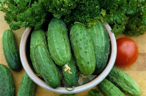 Marketmore 76 Slicing Cucumber Cucumis Sativus 20 Seeds Seeds For