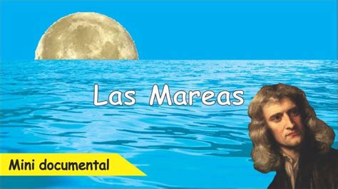 La Luna Y Las Mareas Explicación Para Niños Actualizado Enero 2025