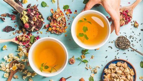 The Best Herbal Teas For Wellness Infusions To Try Trendy Queen Leading Magazine For Today