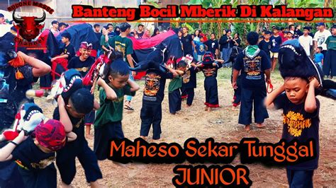 Maheso Sekar Tunggal Junior Heb H Banteng Boc L Mber K Di