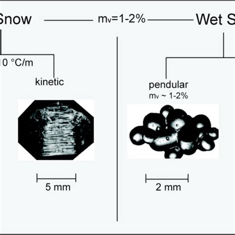 1 Diagram showing snow metamorphism in dry and wet snow. Dry and wet ...