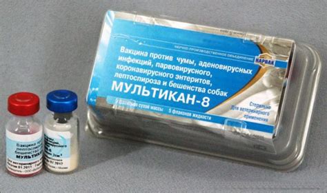 Мультикан 8: инструкция по применению для собак, состав вакцины и форма ...