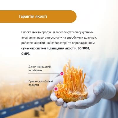 Кордицепс супер: инструкция + цена от 196 грн в аптеках | Tabletki.ua