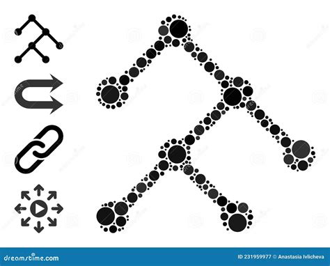 Irregular Binary Fission In Amoeba Asexual Reproduction Cartoon Vector