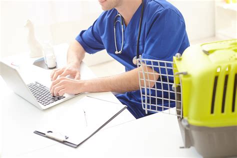 5 Reasons To Hire a Veterinary Copywriter - Rumpus Writing