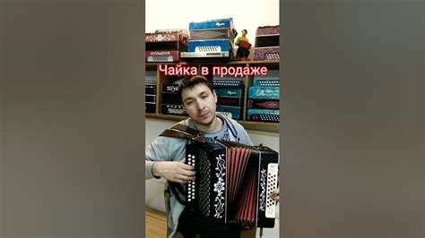гармонь чайка - YouTube