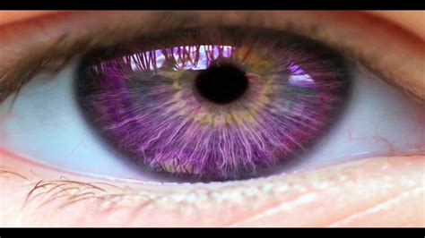 Los 5 Colores De Ojos Más Raros Que Existen Youtube