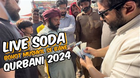 Live Soda Kitne Ka Hona Chahiye Desi Bakre Rajanpuri Bakre Lahore