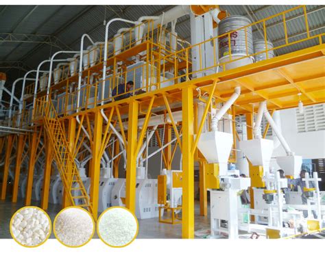 Maize Flour Milling Plant Grain Machinery Pingle