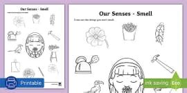 KS1 The Five Senses Taste A4 Display Poster Twinkl