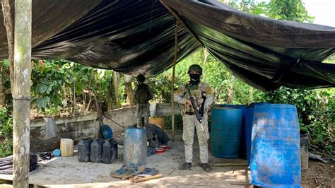 Tres Laboratorios Para El Procesamiento De Coca Fueron Hallados Por El