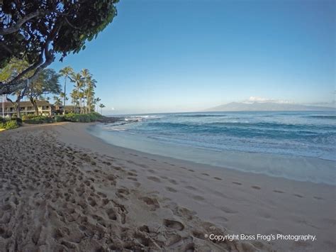 Napili Bay - Boss Frog's Snorkel, Bike & Beach Rentals