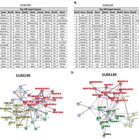 High Throughput Sirna Library Screening And Protein Protein Interaction