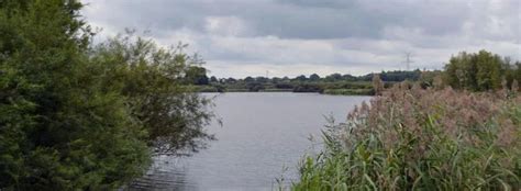 Stadtteile Wellsee - kiel-magazin.de
