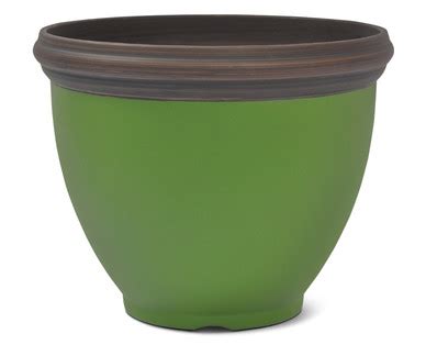 Gardenline Planter Aldi Usa Specials Archive