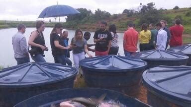 Bom Dia Amaz Nia Ro Em Ariquemes Rodada De Neg Cios Do Tambaqui