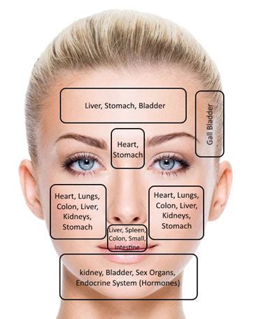 Acne Face Mapping Identifying The Cause Of Your Breakouts