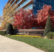 University of Maryland, College Park - Wikipedia