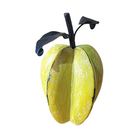 Fruta Carambola Em Madeira E Ferro De Artesanato Bicho Da Terra M