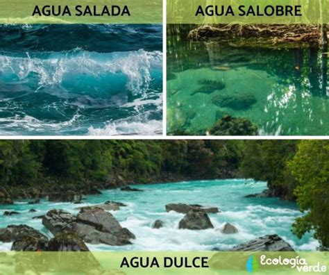 17 Tipos De Agua Clasificación Nombres Características Y Fotos