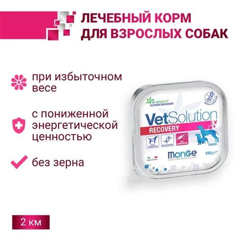 Ветеринарная диета Monge VetSolution Dog Recovery Рекавери для собак ...