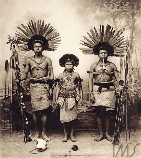 Desenho De Tribo Indigena