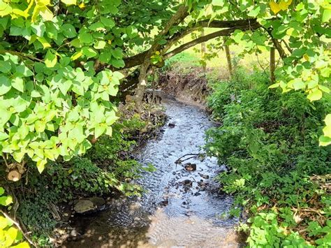 Downmeadow Brook Ian Calderwood Cc By Sa Geograph Britain And