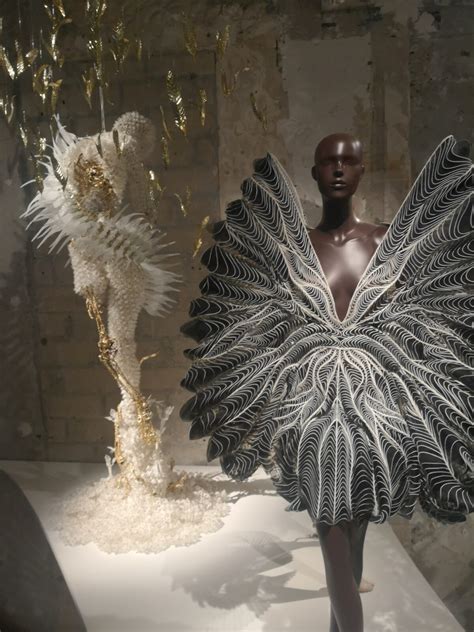 EXHIBITION IRIS VAN HERPEN SCULPTING THE SENSES Style The Gang