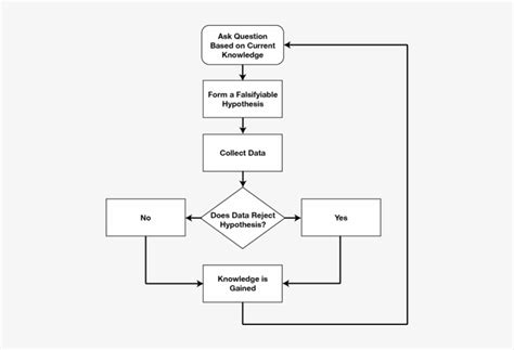 Scientific Method Flow Chart Worksheet