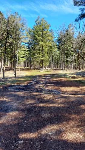 Best Forest Trails In Kettle Moraine State Forest Lapham Peak Unit