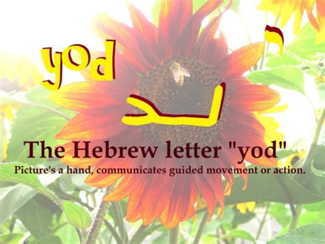 UNDERSTANDING THE MEANING OF GOD'S NAME, ADONAI - [Sermon Note]