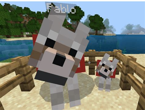 Better Wolf Tamed Minecraft Addon