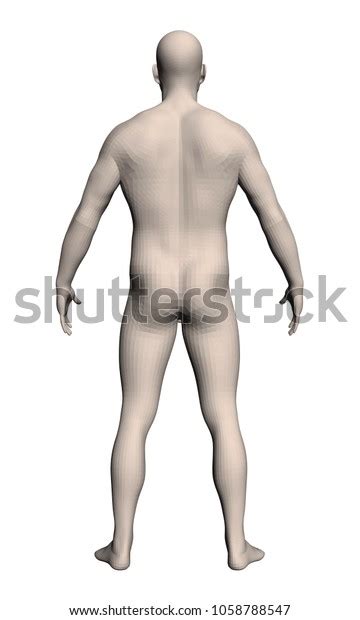 Naked Men Legs Spread Over 11 Royalty Free Licensable Stock Illustrations Drawings Shutterstock