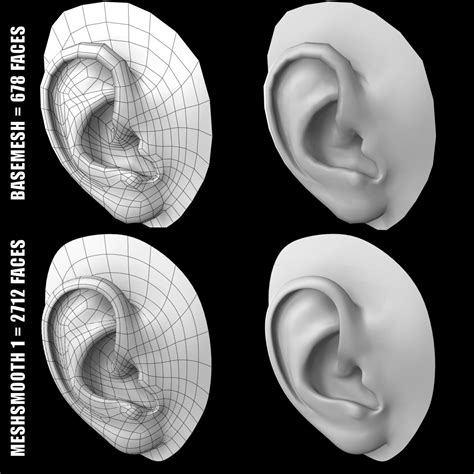 Human Ear 3d Model 46 Max Free3d