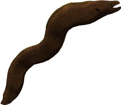 Eel Png Images 100