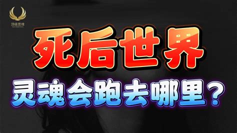 人死后“灵魂”会去另一个空间吗？科学家给出答案，让人不敢相信 【未来的世界；高维世界】 Youtube