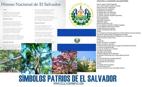 S Mbolos Patrios De El Salvador Y Su Significado Lista Completa El